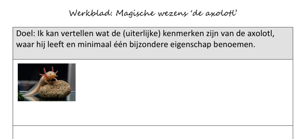 Werkblad bij Lessuggestie axolotl 